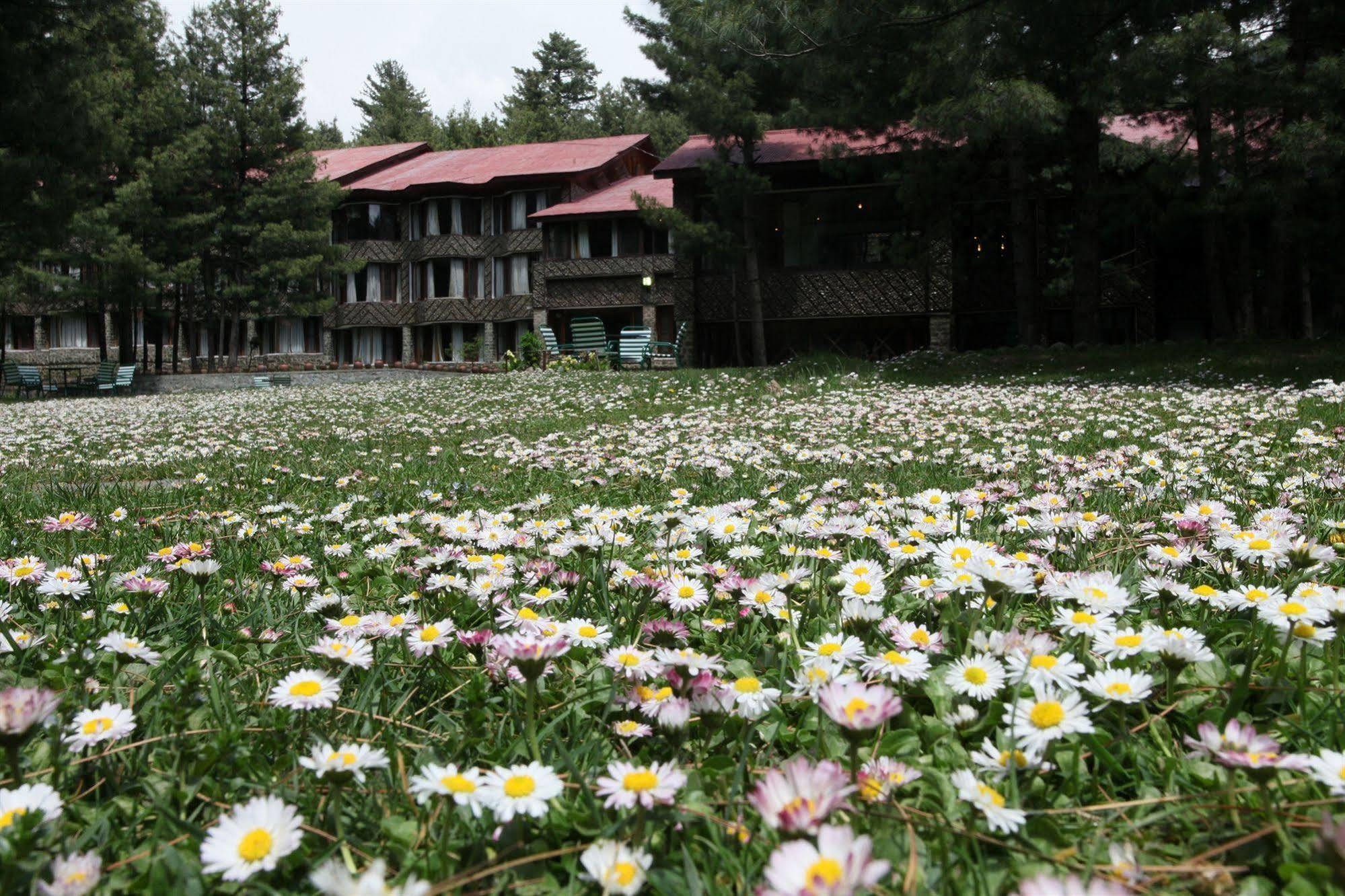 Senator Pine N Peak Hotel Pahalgam Ngoại thất bức ảnh